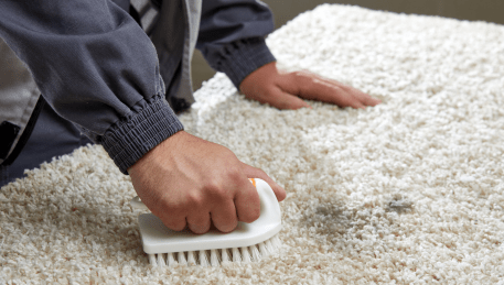 Professional Rug Cleaning Alfredton
